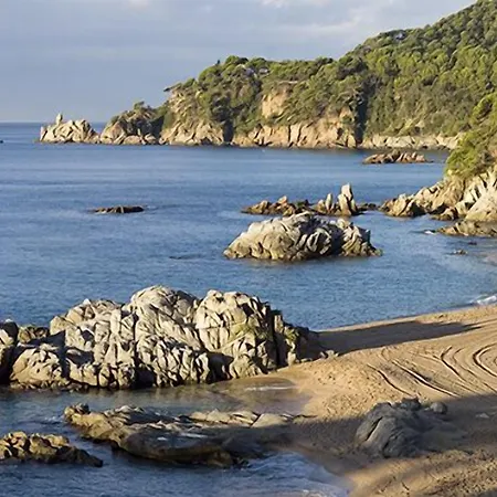 Cleopatra 4*