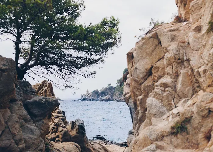 Cleopatra 4* Lloret de Mar