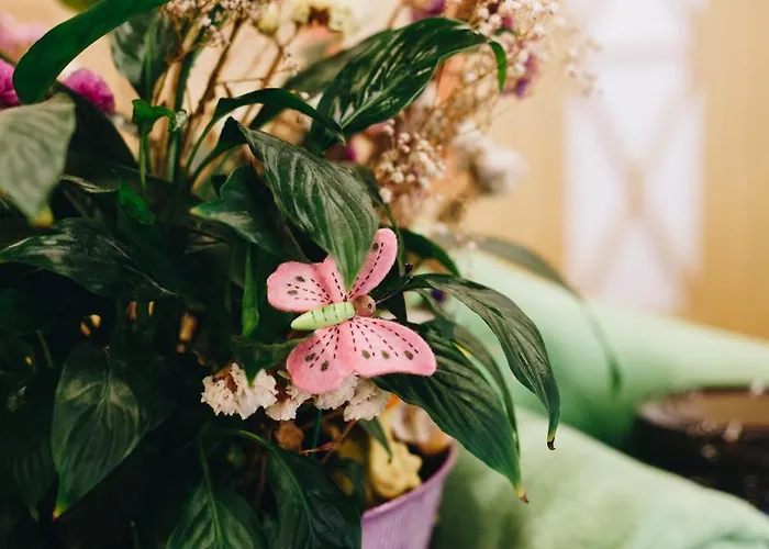 فندق كليوباترا سبا